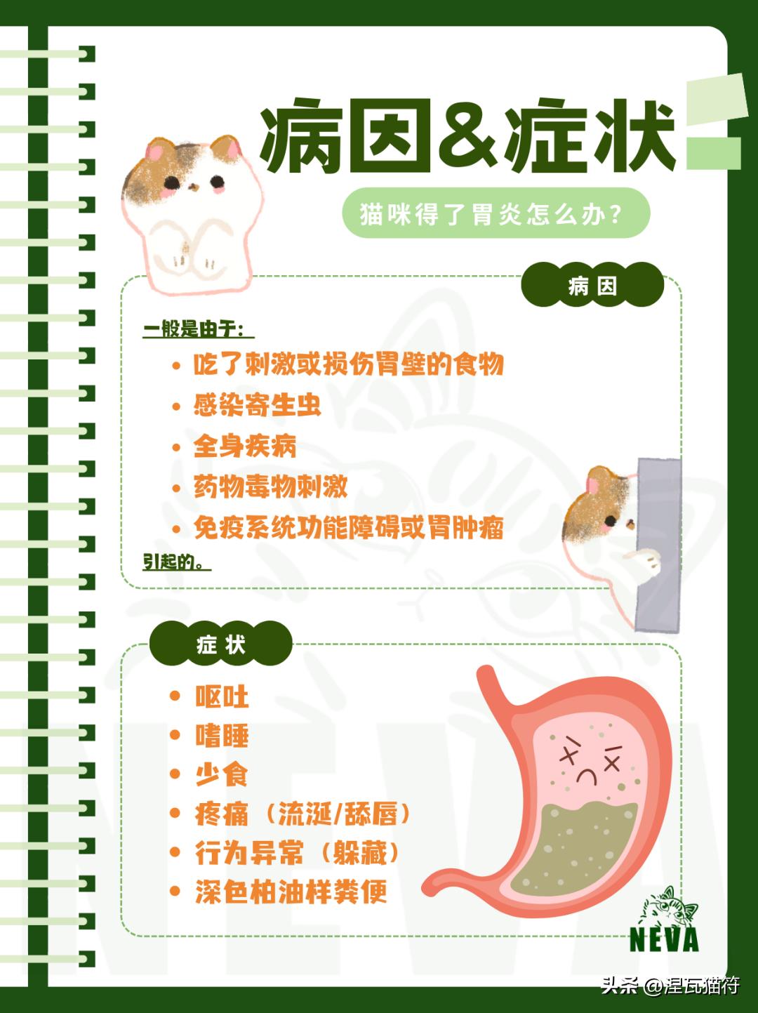 猫咪胃炎症状与病因_猫咪急慢性胃炎治疗_猫咪化疗副作用