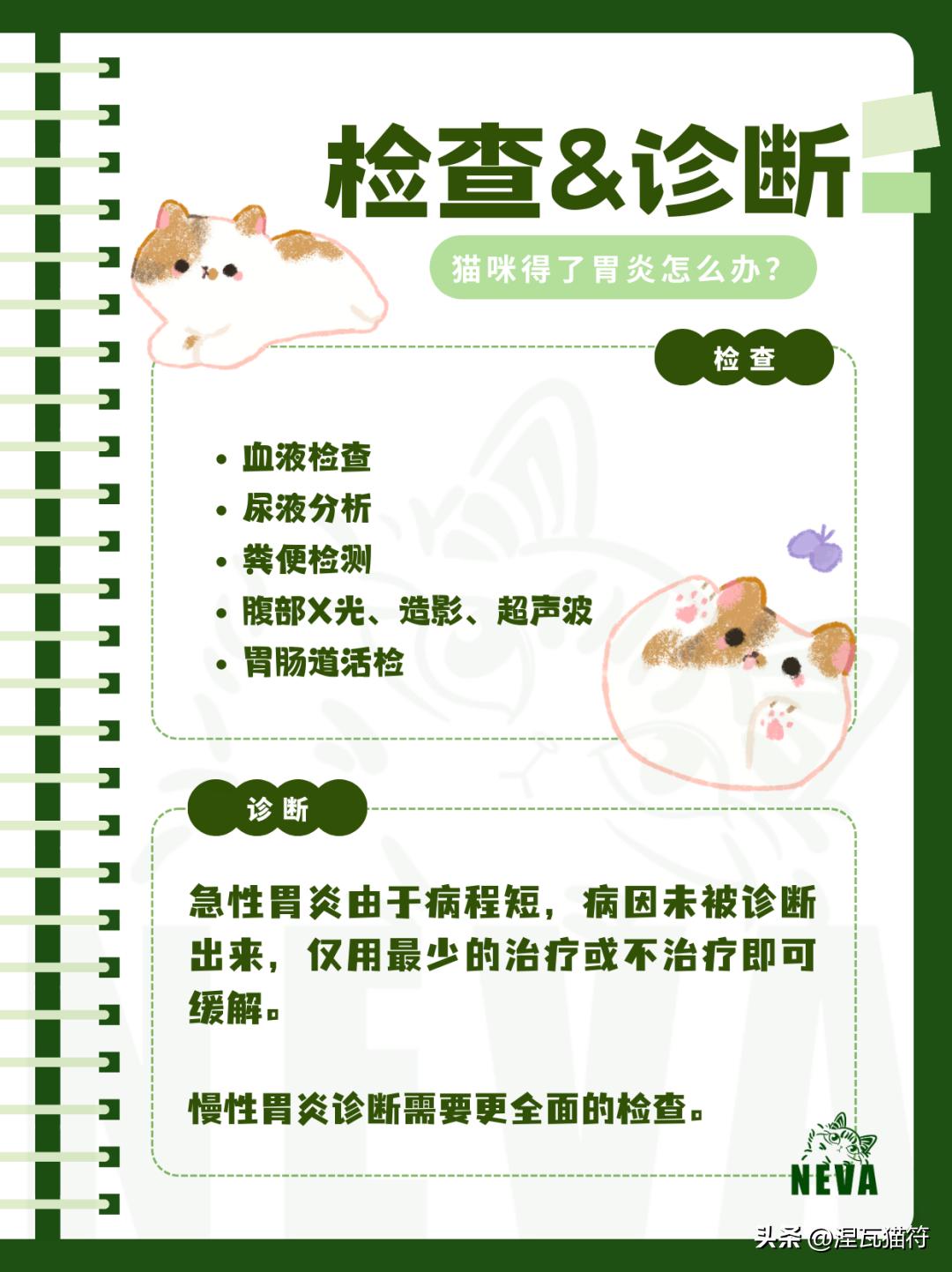 猫咪化疗副作用_猫咪胃炎症状与病因_猫咪急慢性胃炎治疗