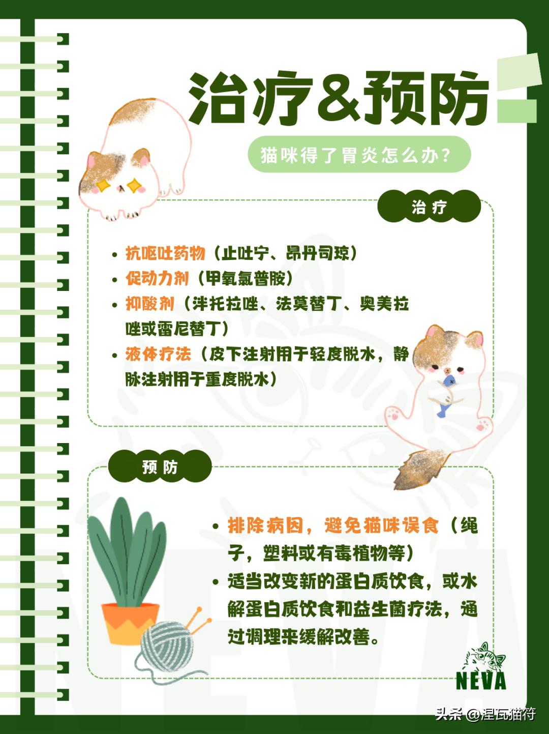 猫咪化疗副作用_猫咪胃炎症状与病因_猫咪急慢性胃炎治疗