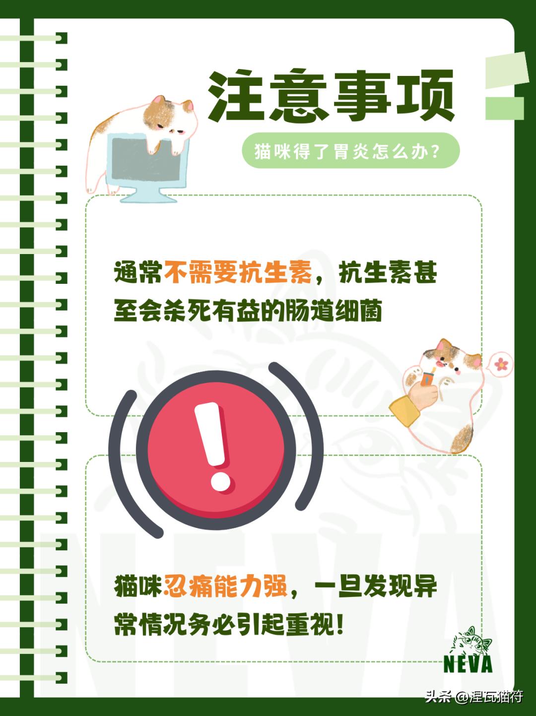 猫咪化疗副作用_猫咪急慢性胃炎治疗_猫咪胃炎症状与病因