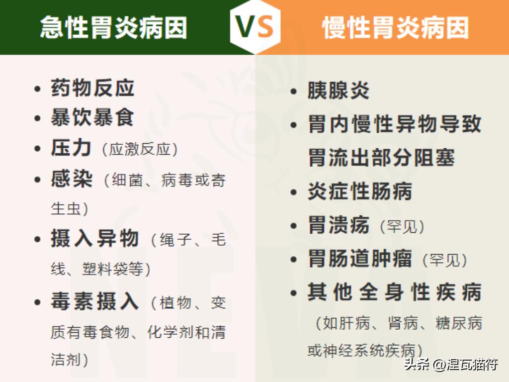 猫咪胃炎症状与病因_猫咪化疗副作用_猫咪急慢性胃炎治疗
