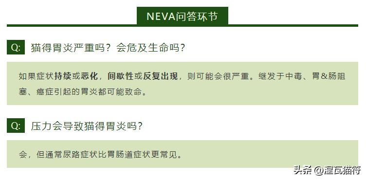 猫咪胃炎症状与病因_猫咪急慢性胃炎治疗_猫咪化疗副作用