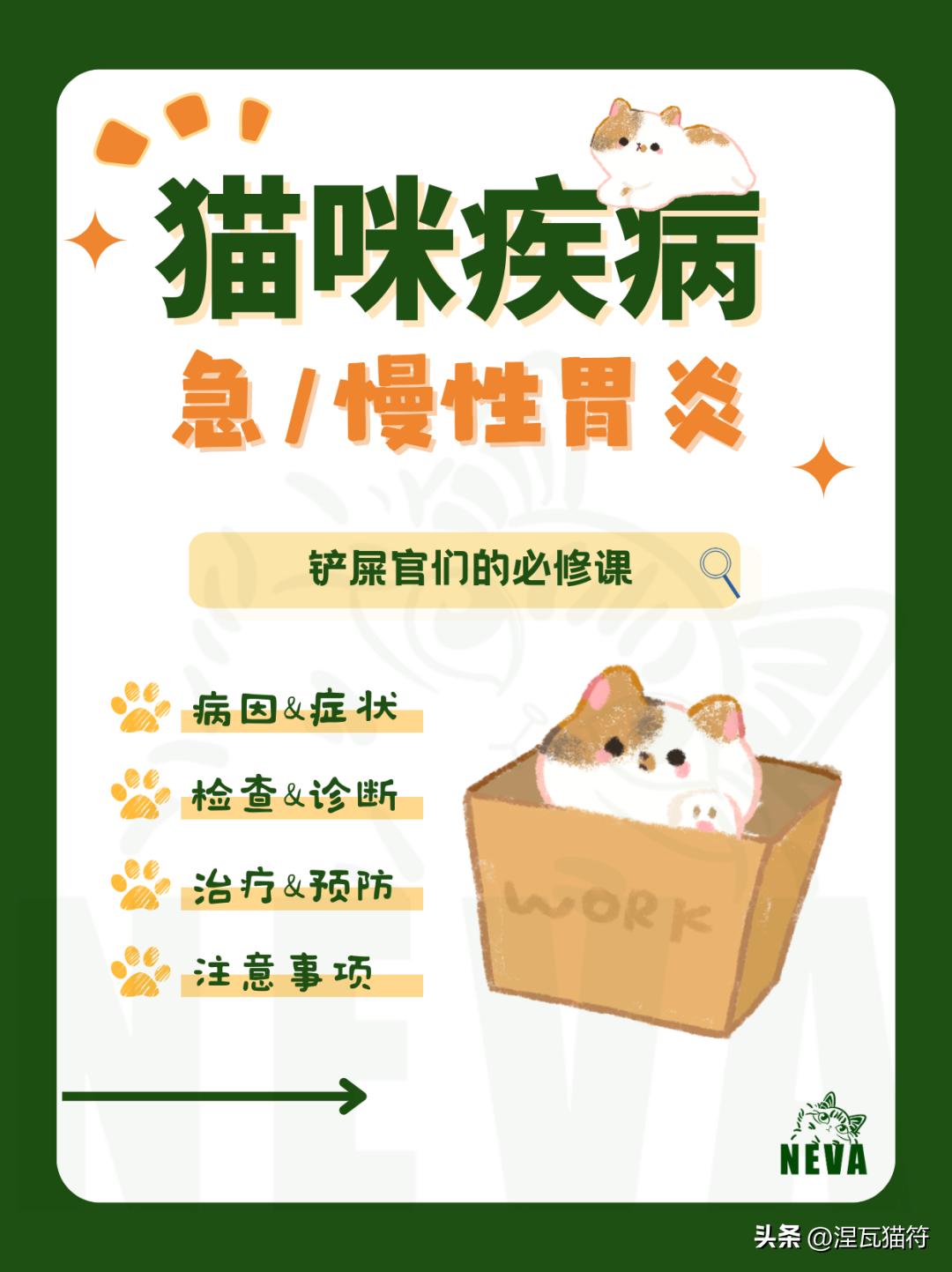 猫咪急慢性胃炎治疗_猫咪化疗副作用_猫咪胃炎症状与病因