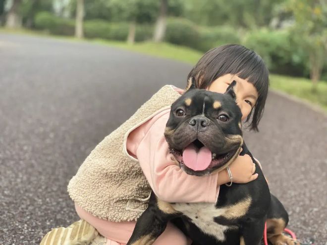 不同品种狗狗的美容差异_狗狗忠诚特质_狗狗友善性格