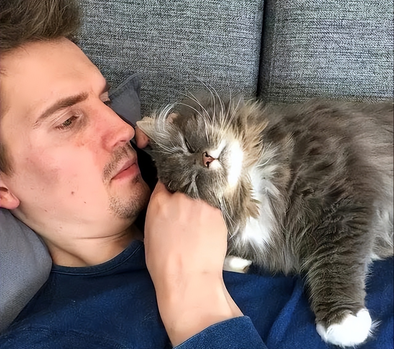猫咪早上叫怎么办_猫咪早上叫醒原因_猫咪最喜欢的晨间活动