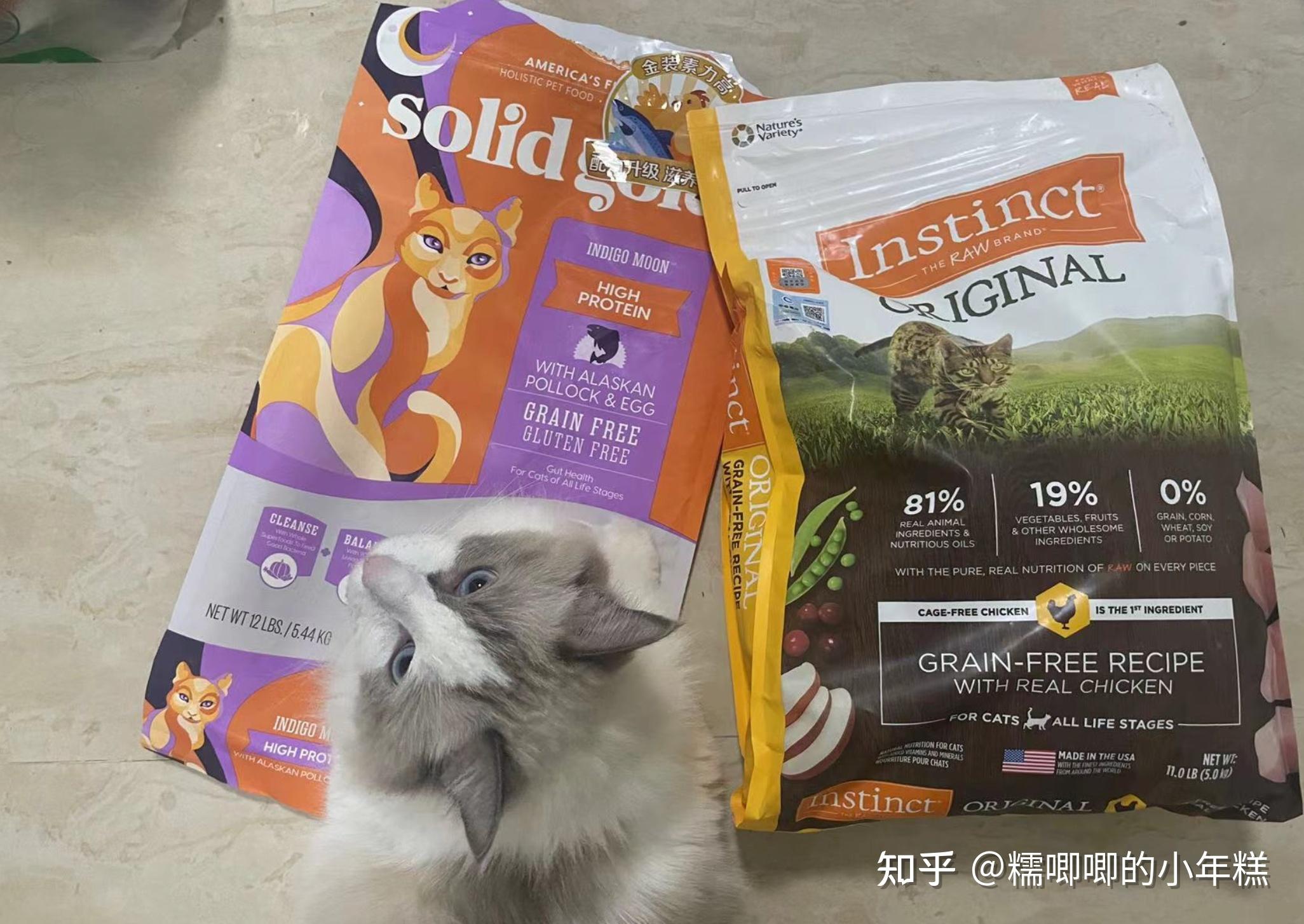 新手养猫预算建议_猫癣的症状表现和家庭处理方法_猫咪安全生活环境准备