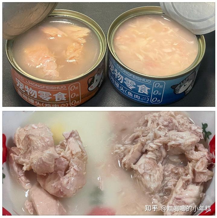猫癣的症状表现和家庭处理方法_猫咪安全生活环境准备_新手养猫预算建议