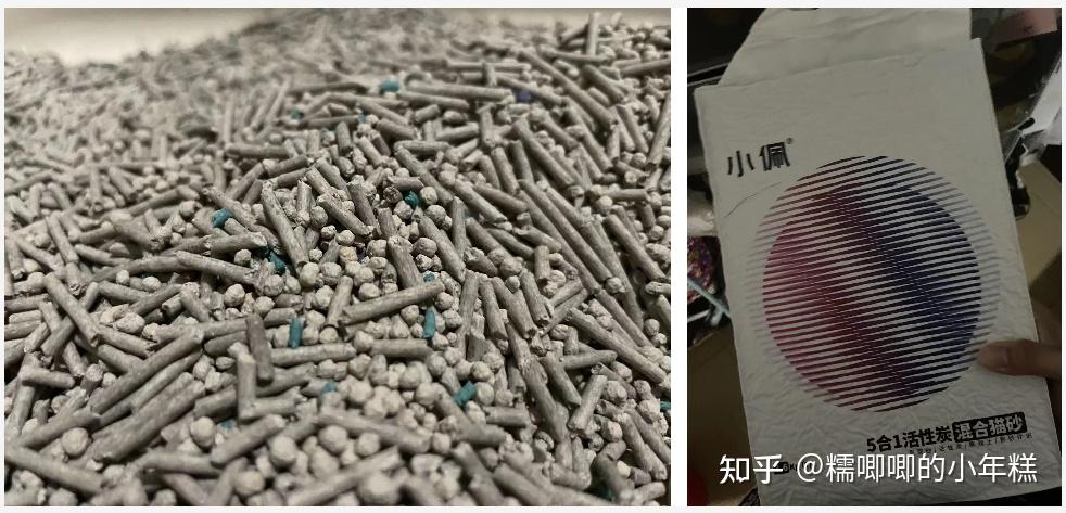 猫咪安全生活环境准备_猫癣的症状表现和家庭处理方法_新手养猫预算建议