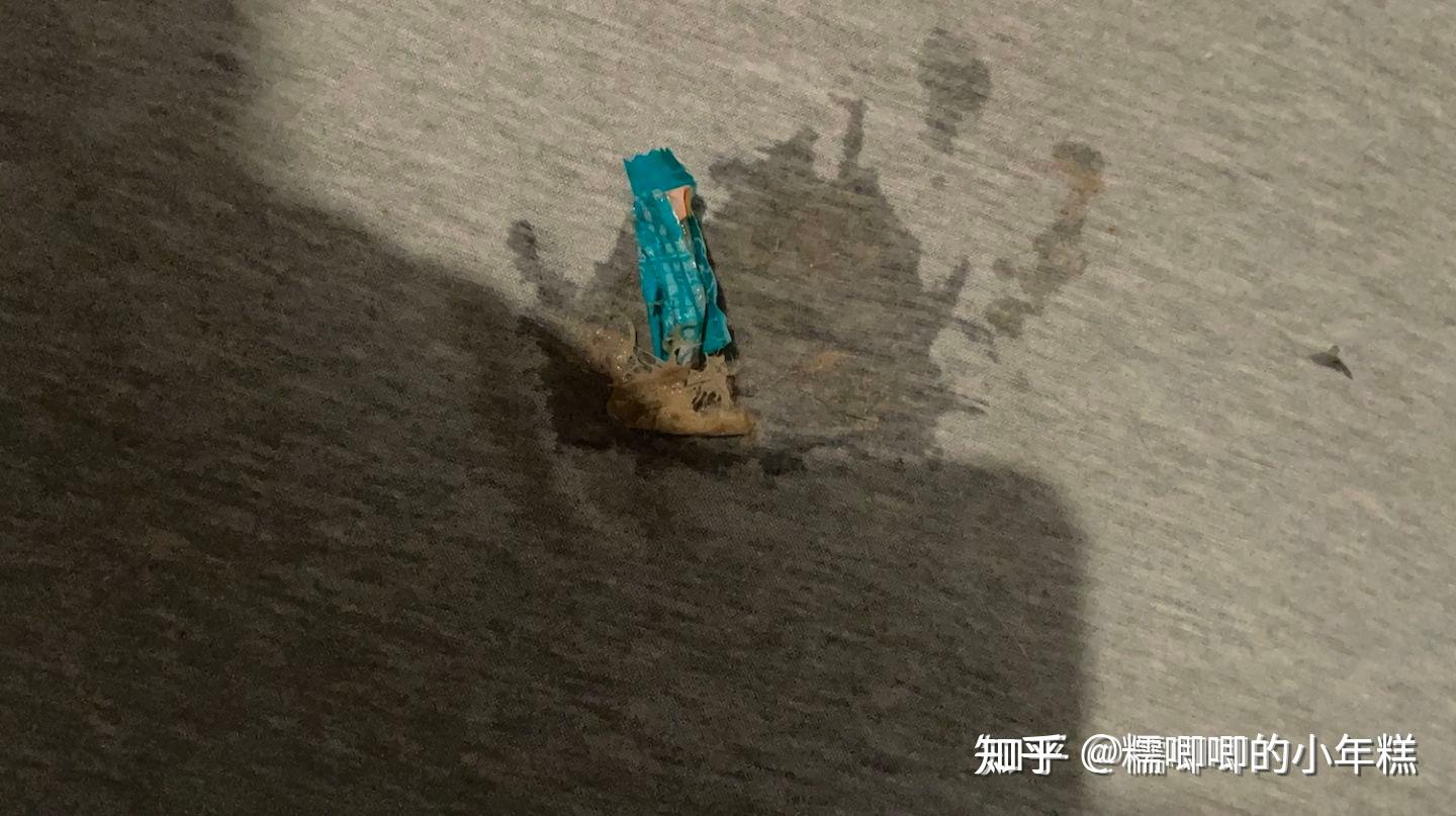 新手养猫预算建议_猫癣的症状表现和家庭处理方法_猫咪安全生活环境准备