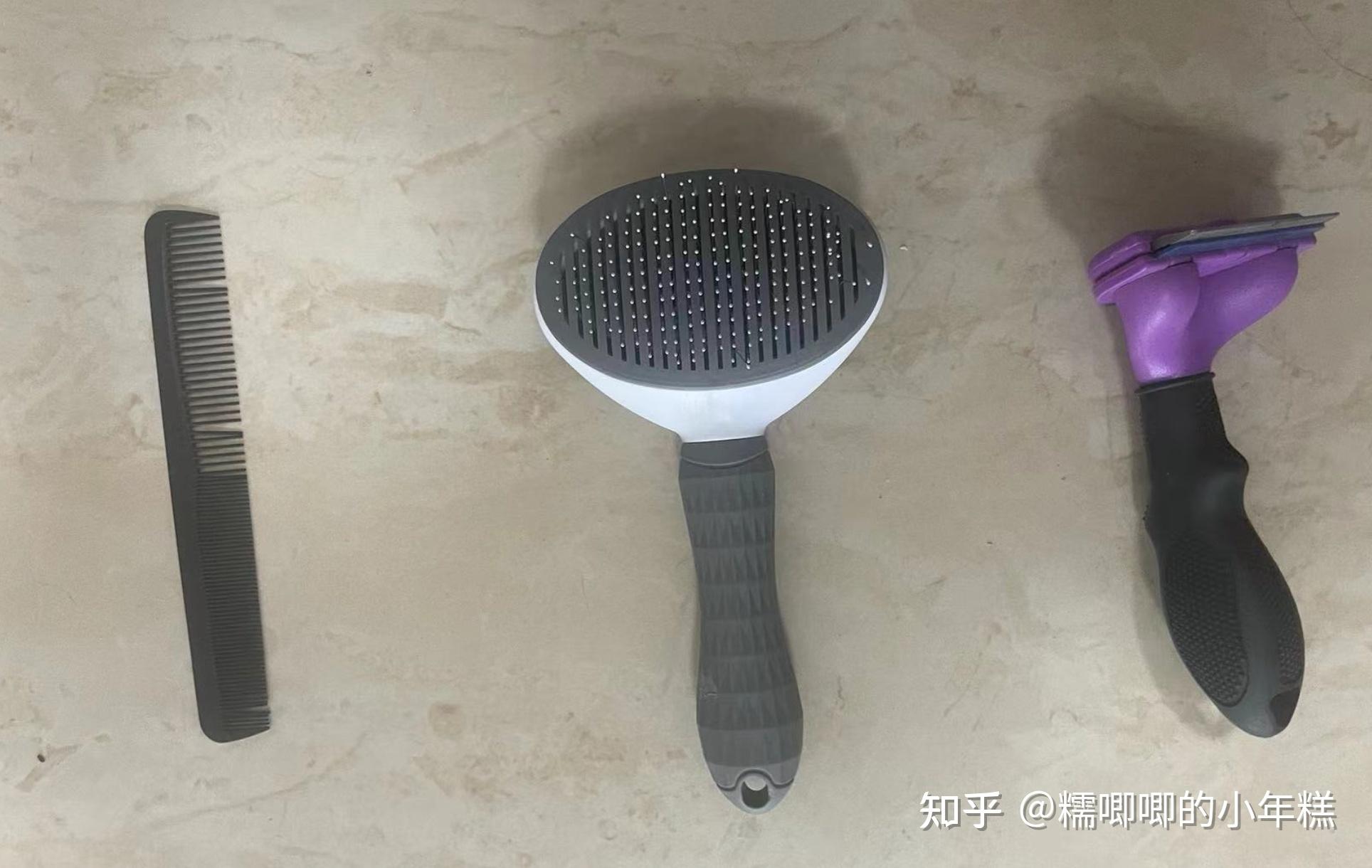 猫癣的症状表现和家庭处理方法_猫咪安全生活环境准备_新手养猫预算建议