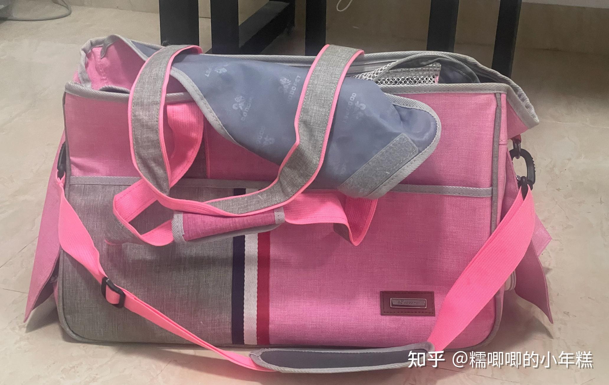 猫咪安全生活环境准备_新手养猫预算建议_猫癣的症状表现和家庭处理方法