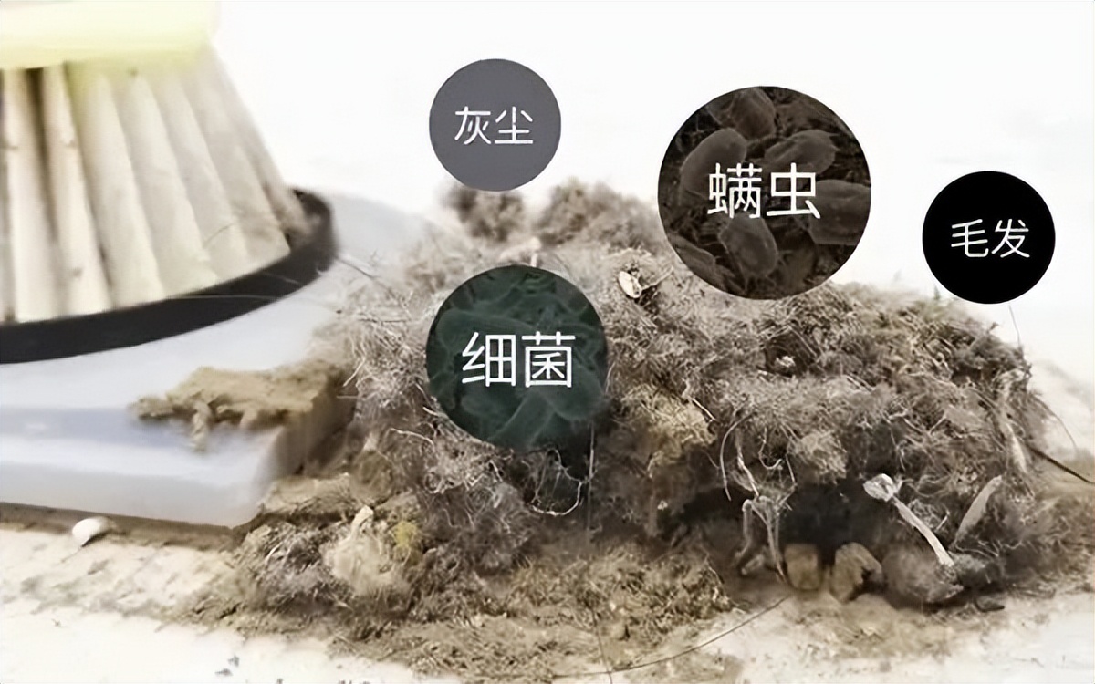 狗狗过敏皮炎症状_狗狗红疹子原因_狗狗眼周红肿？过敏和细菌感染