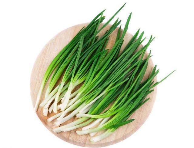 鹦鹉不能吃什么？盘点会导致鹦鹉中毒的食物