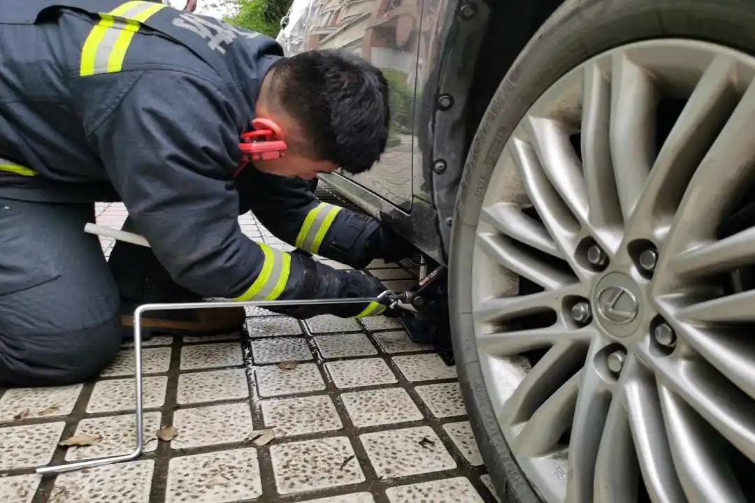 杭州萧山男子要开车时，突然听见车里有叫声！一检查竟然发现……-派特超人-宠物