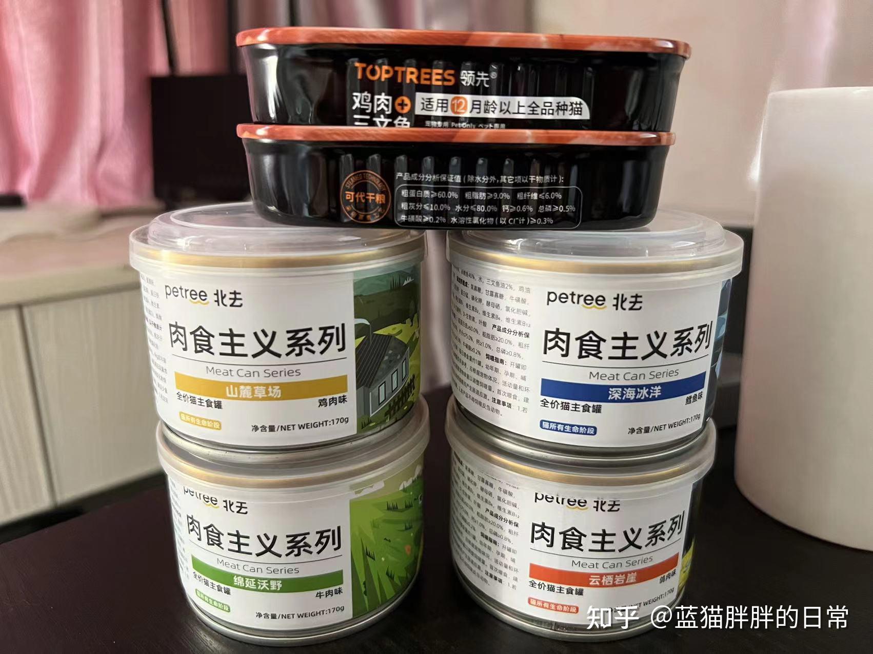 猫咪新手养猫注意事项_猫咪应激反应处理方法_猫癣的症状表现和家庭处理方法