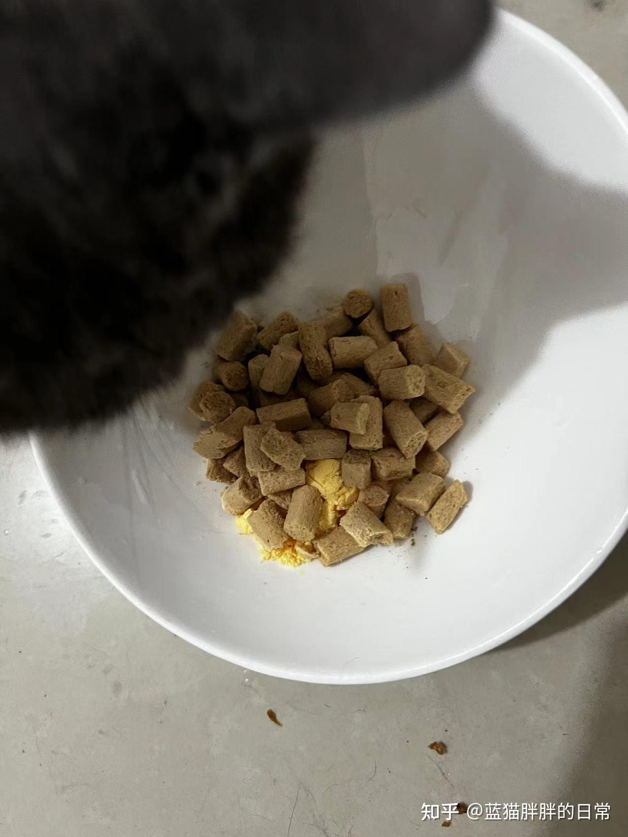 猫癣的症状表现和家庭处理方法_猫咪应激反应处理方法_猫咪新手养猫注意事项