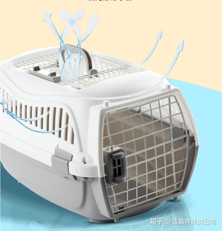 猫咪新手养猫注意事项_猫癣的症状表现和家庭处理方法_猫咪应激反应处理方法