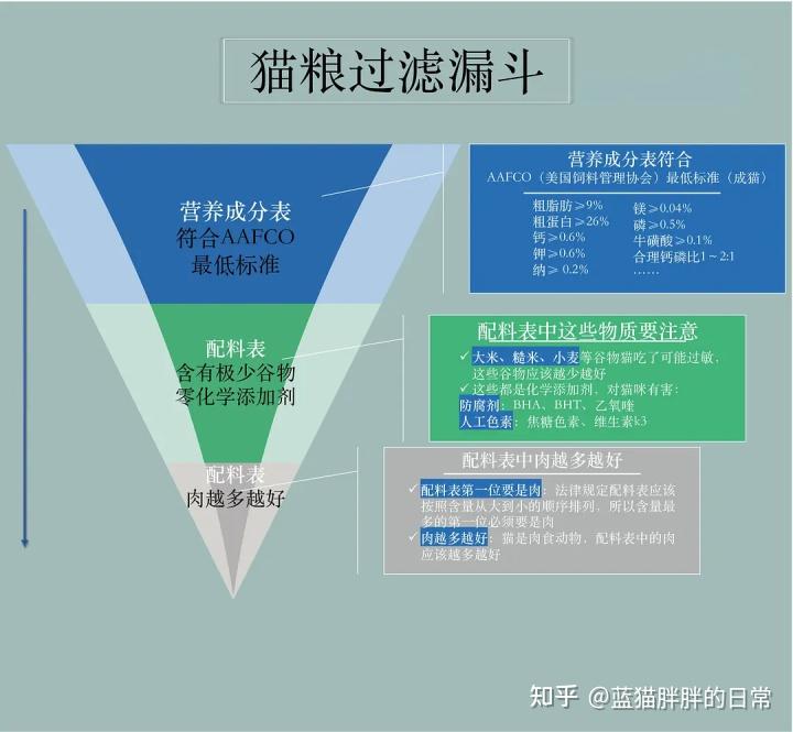 猫咪应激反应处理方法_猫癣的症状表现和家庭处理方法_猫咪新手养猫注意事项