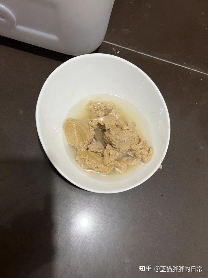 猫咪应激反应处理方法_猫癣的症状表现和家庭处理方法_猫咪新手养猫注意事项