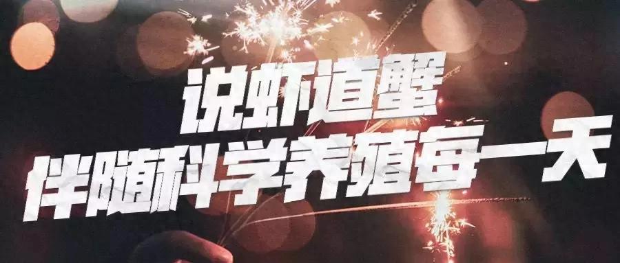 春季养观赏鱼锦鲤一定要做的工作-派特超人-宠物