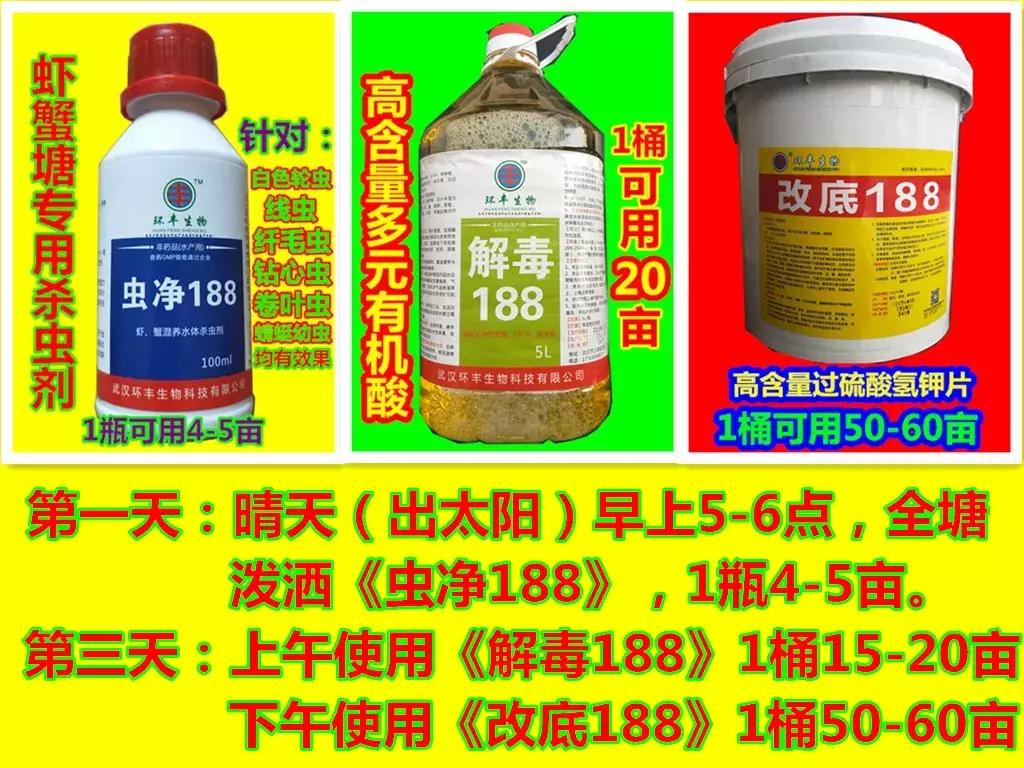 观赏鱼春季常见病预防_鹦鹉鱼白点治疗_温带观赏鱼寄生虫防治