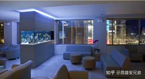 鱼缸哪个牌子好？鱼缸怎么选？最新款高性价比鱼缸品牌推荐及鱼缸选购指南-派特超人-宠物