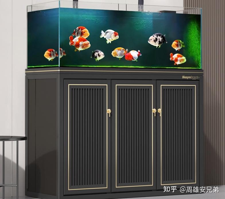 鱼缸过滤系统选择_鱼缸材质选择指南_鱼缸开缸初期的管理要点