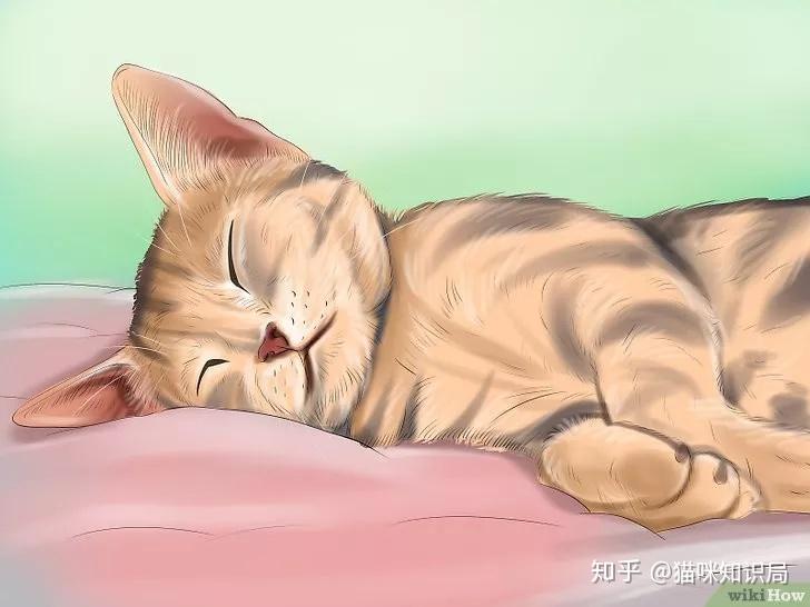 猫咪青光眼的治疗选择_猫咪驱虫方法_猫咪体内体外寄生虫防治