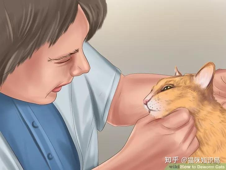 猫咪青光眼的治疗选择_猫咪驱虫方法_猫咪体内体外寄生虫防治
