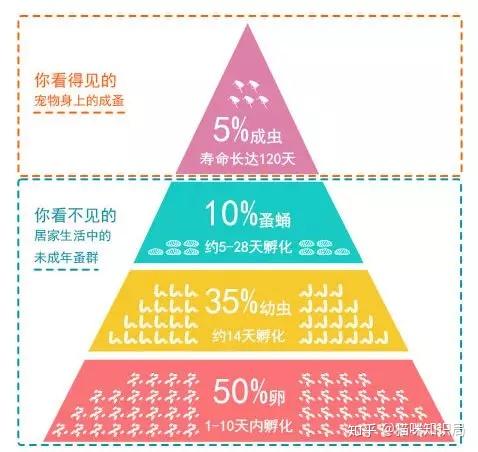 猫咪体内体外寄生虫防治_猫咪青光眼的治疗选择_猫咪驱虫方法