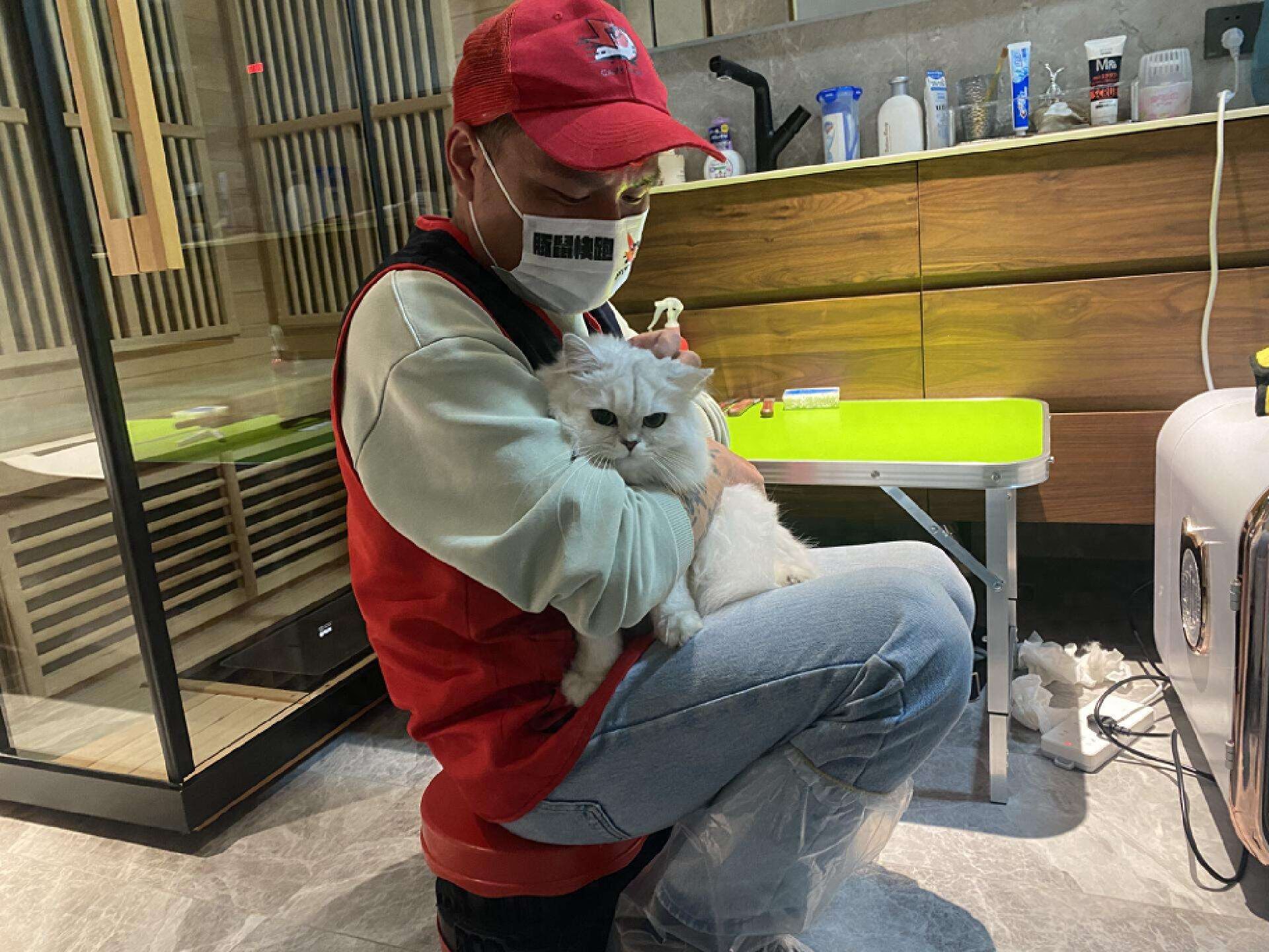 昆明爱宠人士为“毛孩子”安排上门洗浴，单次费用……-派特超人-宠物