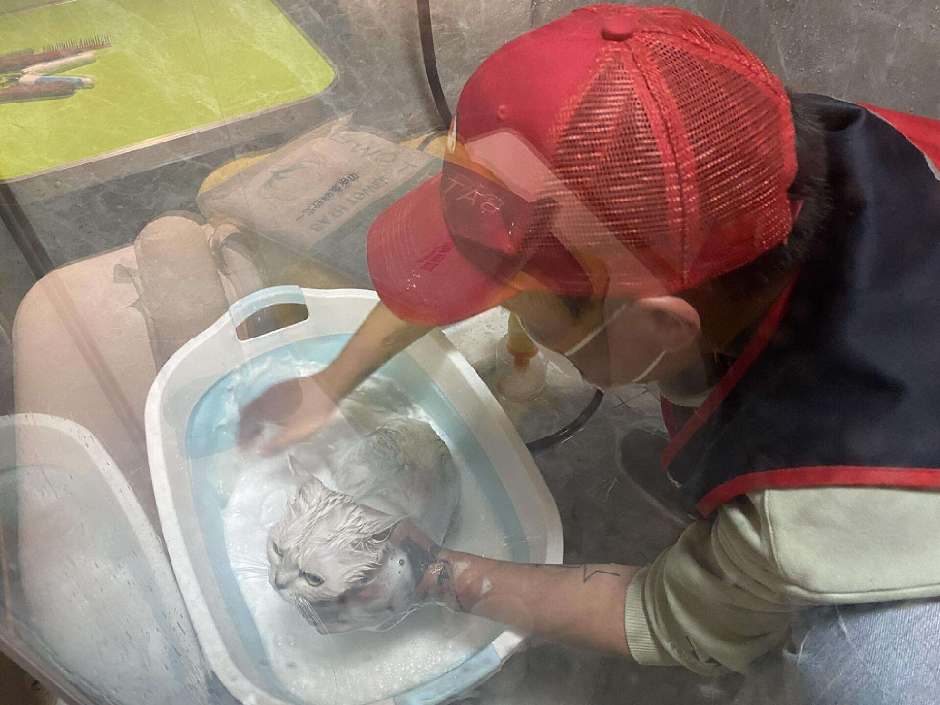 新手养狗必备的上门服务清单_昆明宠物上门洗护行业_宠物上门洗浴服务