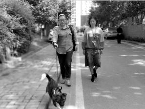 成都兴起上门喂猫遛狗 最高服务收费一次200元-派特超人-宠物