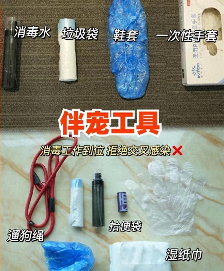 春节宠物看护需求_新手养狗必备的上门服务清单_上门喂养宠物服务