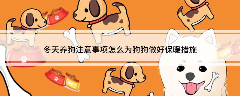 冬天养狗注意事项怎么为狗狗做好保暖措施-派特超人-宠物