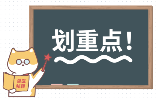 猫咪拉出白色蠕动小虫子吃什么药？