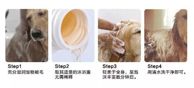 狗狗皮肤pH值与人类差异_狗狗沐浴露的香味持久性_狗狗沐浴露误区