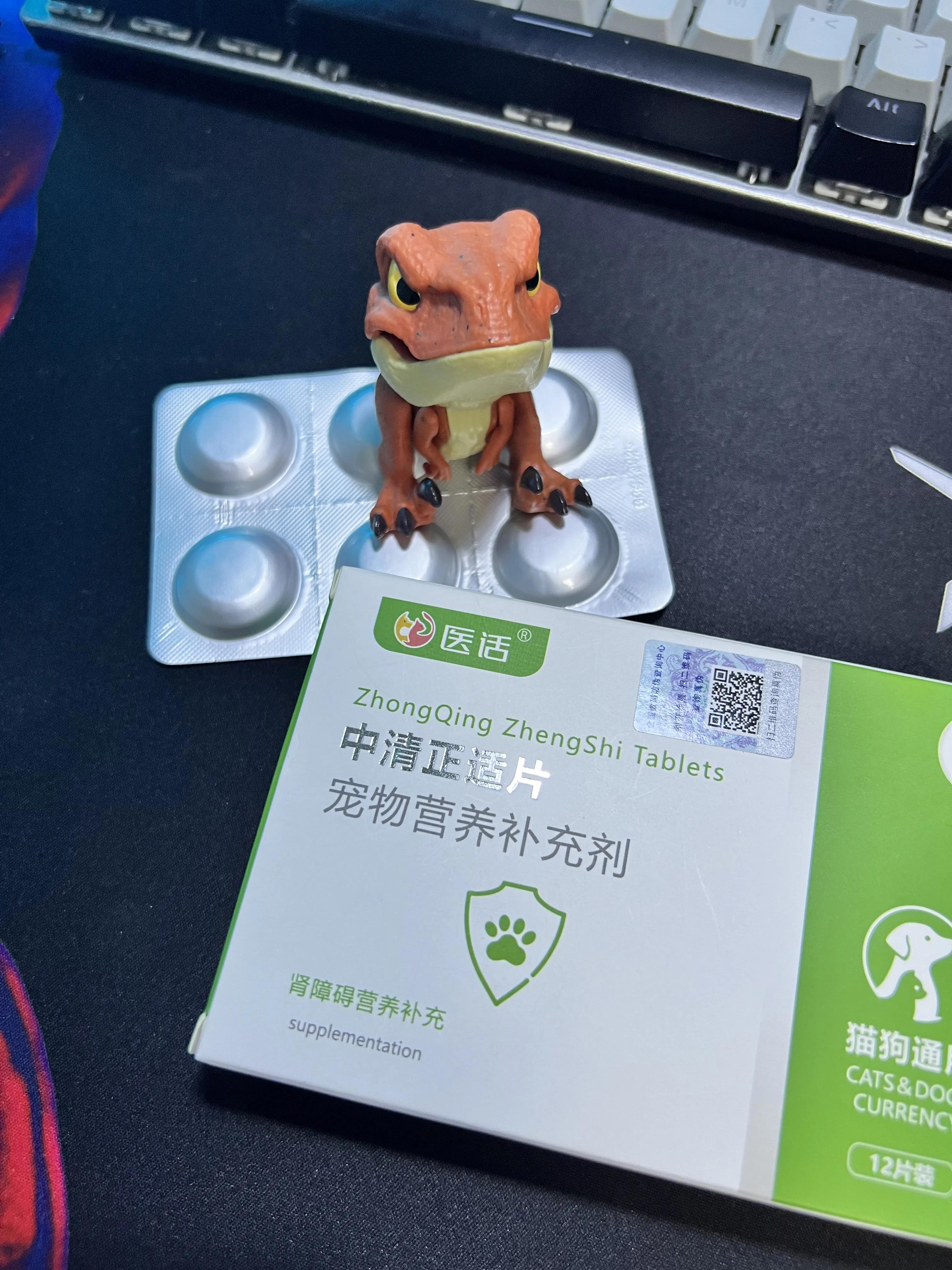 狗狗肾衰竭症状及原因_狗狗突然贪睡？低血糖和代谢问题_狗狗肾衰竭危害