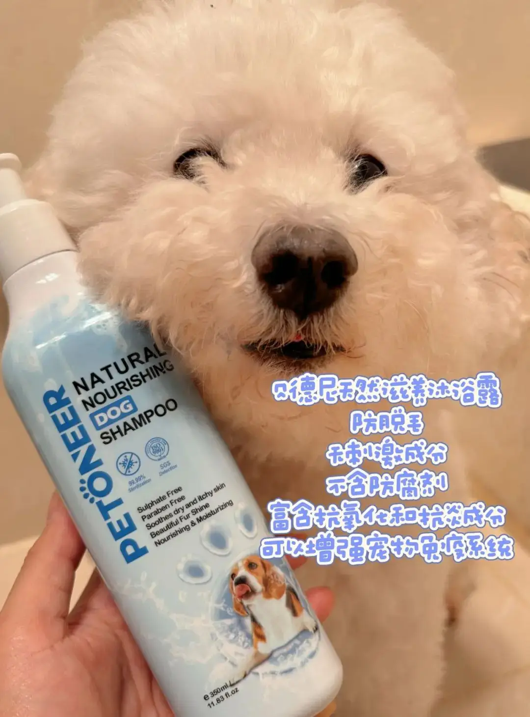 猫咪狗狗除味护理_狗狗沐浴露的香味持久性_PETONEER贝德尼宠物洗护套装