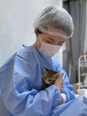 上门喂猫遛狗 年轻人假期兼职“新赛道”-派特超人-宠物