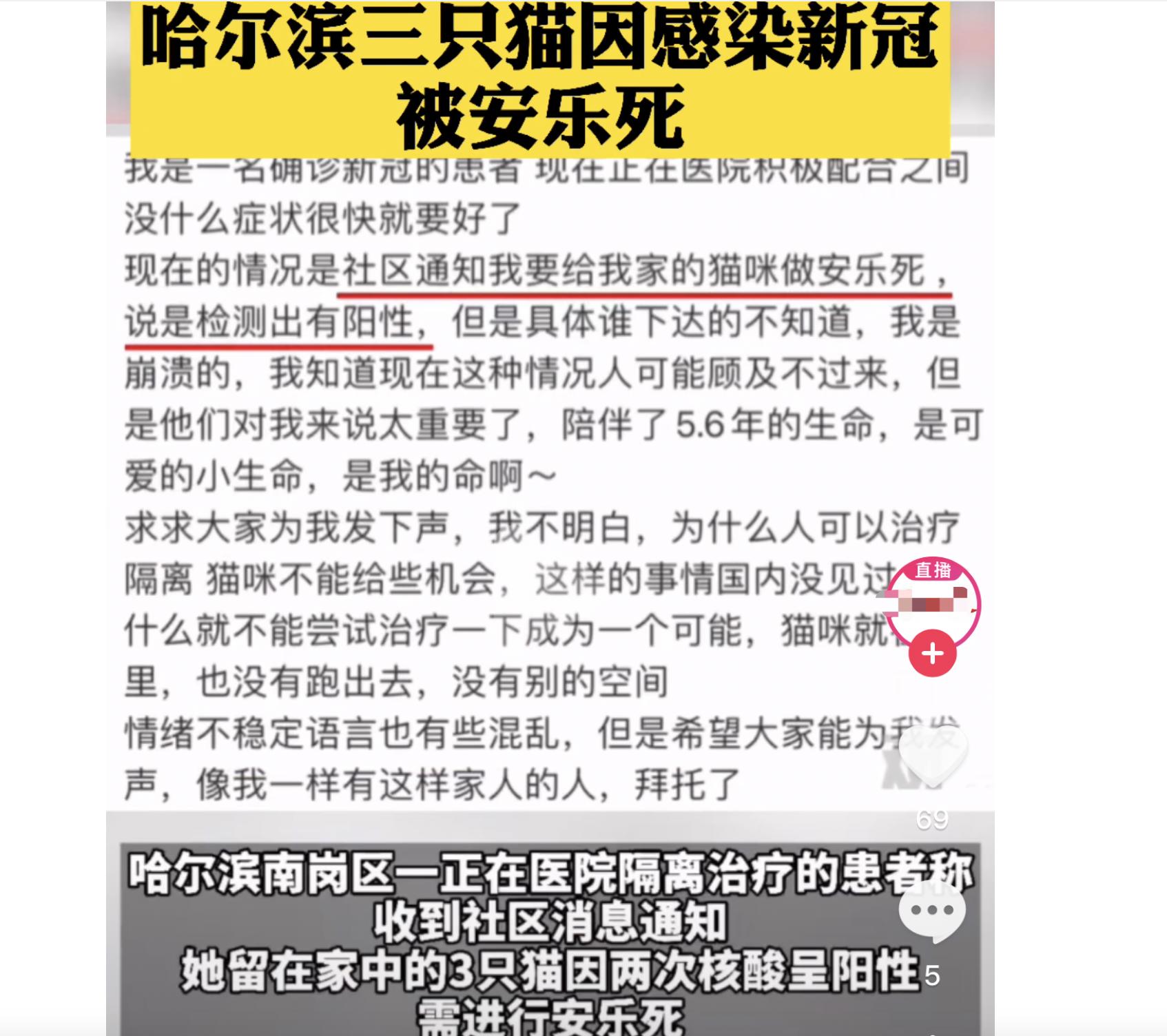 哈尔滨宠物安乐死_猫咪安乐死的判断标准_新冠宠物感染安乐死