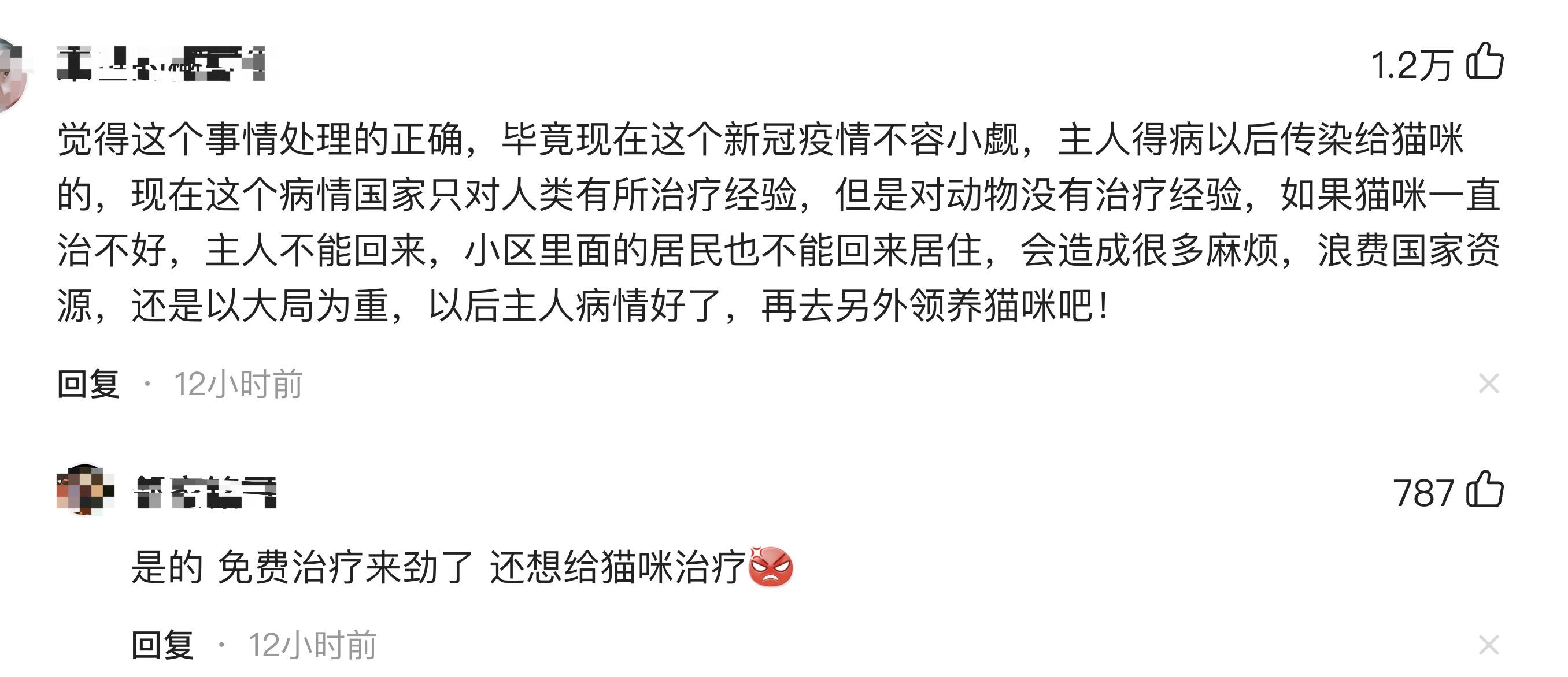 猫咪安乐死的判断标准_新冠宠物感染安乐死_哈尔滨宠物安乐死