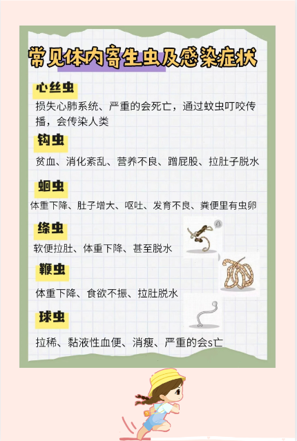 猫咪寄生虫大全：体内外驱虫指南_猫咪常见体外寄生虫_猫咪体内寄生虫症状