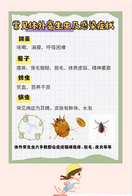 猫咪寄生虫大全：体内外驱虫指南_猫咪体内寄生虫症状_猫咪常见体外寄生虫