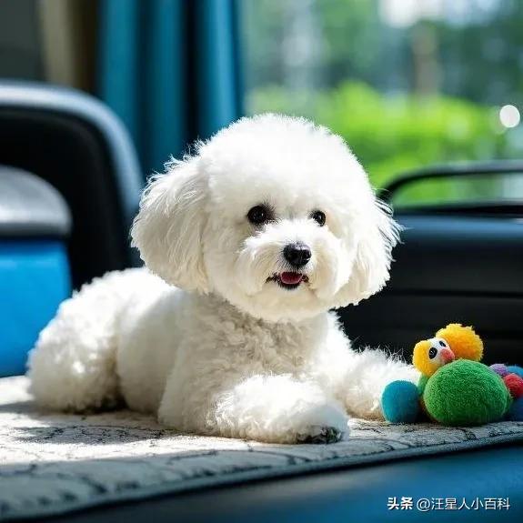 狗狗粪便有黏液？肠炎和寄生虫感染_养狗拉稀软便原因_狗粮过量喂食解决方法