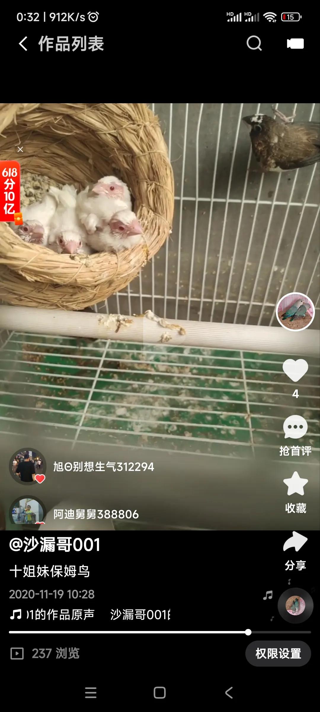 十姐妹养鸟繁殖技巧_适合初学者的低维护鸟类推荐_十姐妹价格及品种