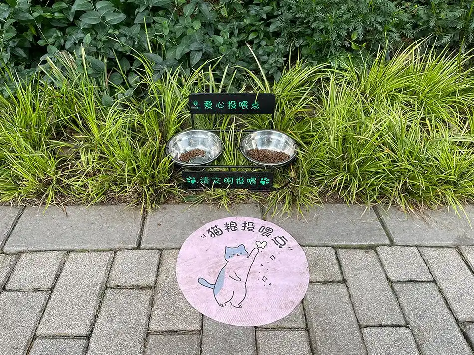 “猫奴们”看过来，上海静安公园有了流浪猫固定爱心投喂点-派特超人-宠物