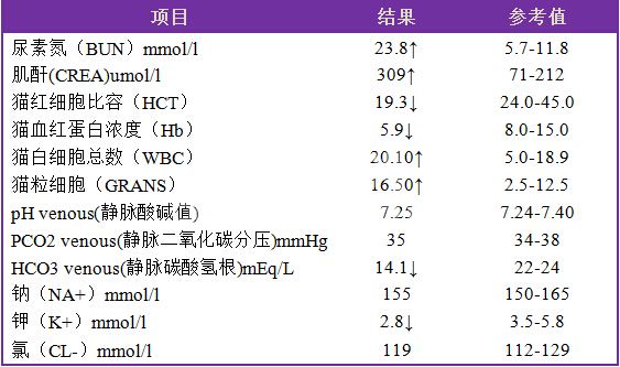 猫输尿管阻塞治疗_猫咪输尿管结石：比膀胱结石更危险_人工输尿管植入手术