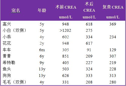 猫输尿管阻塞治疗_人工输尿管植入手术_猫咪输尿管结石：比膀胱结石更危险