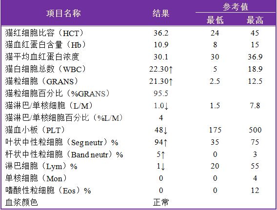 猫咪输尿管结石：比膀胱结石更危险_人工输尿管植入手术_猫输尿管阻塞治疗